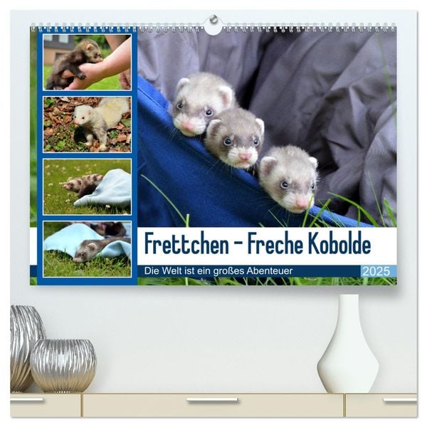 Frettchen - Freche Kobolde (hochwertiger Premium Wandkalender 2025 DIN A2 quer), Kunstdruck in Hochglanz