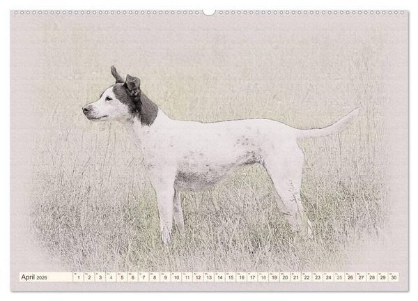 Produktbild: Bodeguero Andaluz 2026 (hochwertiger Premium Wandkalender 2026 DIN A2 quer), Kunstdruck in Hochglanz