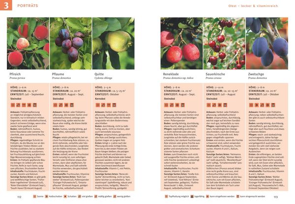 Produktbild: Obst & Gem&uuml;se selbst anbauen