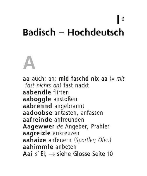 Produktbild: Langenscheidt Lilliput Badisch