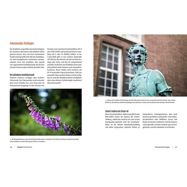 Fotografieren - Die große Fotoschule für Einsteiger