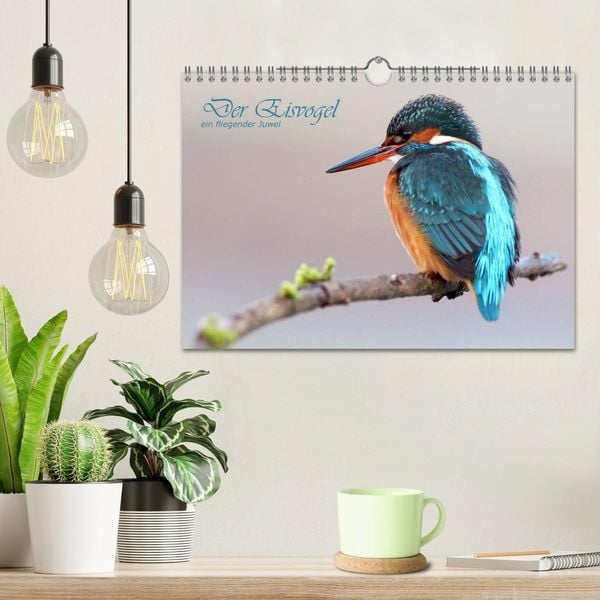Produktbild: Der Eisvogel (Wandkalender 2026 DIN A4 quer), CALVENDO Monatskalender
