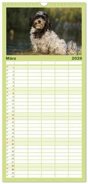 Produktbild: Familienplaner 2026 - Havaneser - Herz auf 4 Pfoten mit 5 Spalten (Wandkalender, 21 x 45 cm) CALVENDO