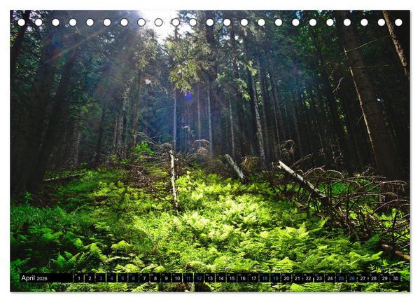 Produktbild: Slowakei - Abseits der Hohen Tatra (Tischkalender 2026 DIN A5 quer), CALVENDO Monatskalender