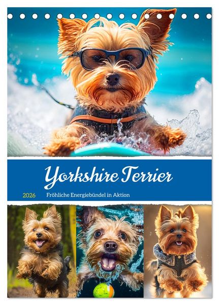 Produktbild: Yorkshire Terrier. Fr&ouml;hliche Energieb&uuml;ndel in Aktion (Tischkalender 2026 DIN A5 hoch), CALVENDO Monatskalender
