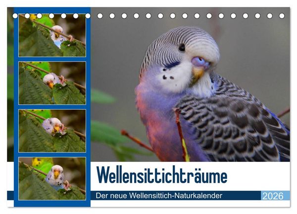 Wellensittichträume - Der neue Wellensittich-Naturkalender (Tischkalender 2026 DIN A5 quer), CALVENDO Monatskalender