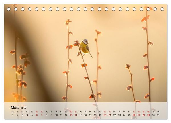 Produktbild: Magische Tiermomente (Tischkalender 2027 DIN A5 quer), CALVENDO Monatskalender