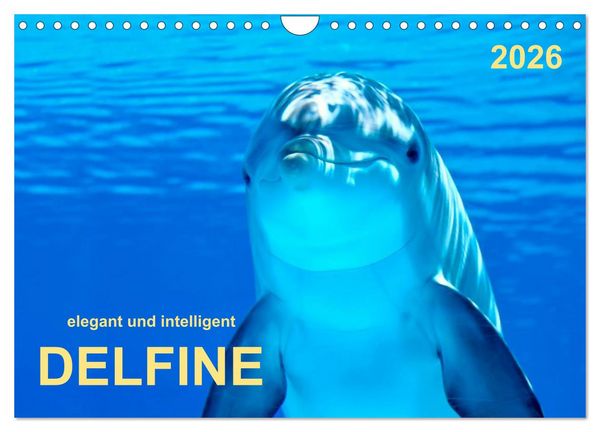 Delfine - elegant und intelligent (Wandkalender 2026 DIN A4 quer), CALVENDO Monatskalender