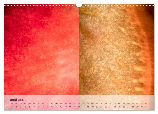 Produktbild: C&oelig;ur de fruits c&oelig;ur de l&eacute;gumes (Calendrier mural 2026 DIN A3 vertical), CALVENDO calendrier mensuel