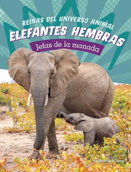 Produktbild: Elefantes Hembras: Jefas de la Manada (Elephant Cows: Heads of the Herd)
