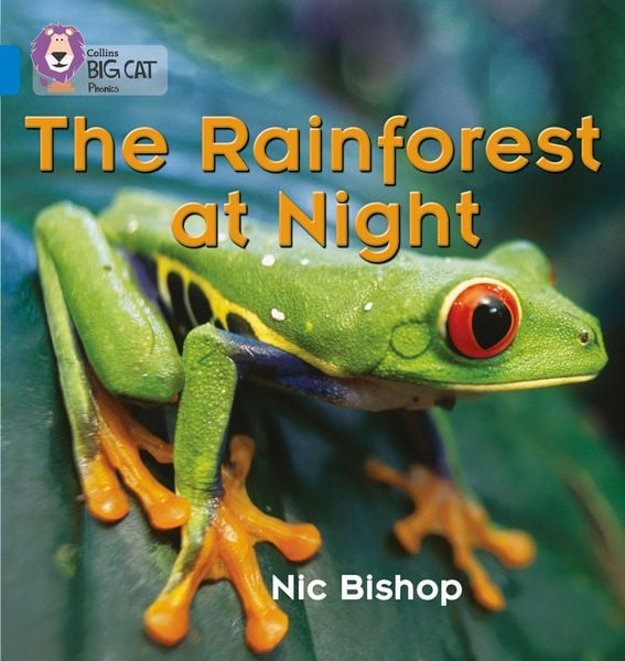 Produktbild: BIG CAT PHONICS - RAINFRST AT