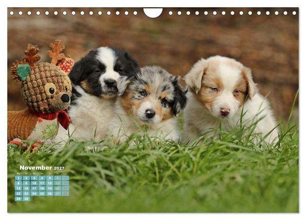 Produktbild: Lillyfee und ein K&ouml;rbchen voller Gl&uuml;ck (Wandkalender 2027 DIN A4 quer), CALVENDO Monatskalender