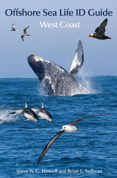 Produktbild: Offshore Sea Life ID Guide