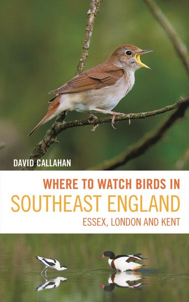 Produktbild: Where to Watch Birds in Southeast England