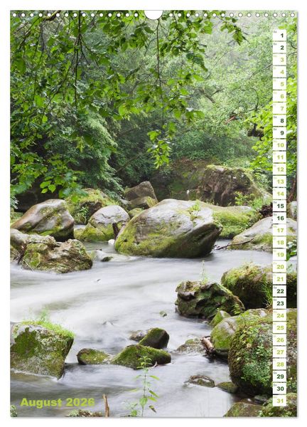 Produktbild: EIFEL - Kraftorte Wald und Wasser (Wandkalender 2026 DIN A3 hoch), CALVENDO Monatskalender