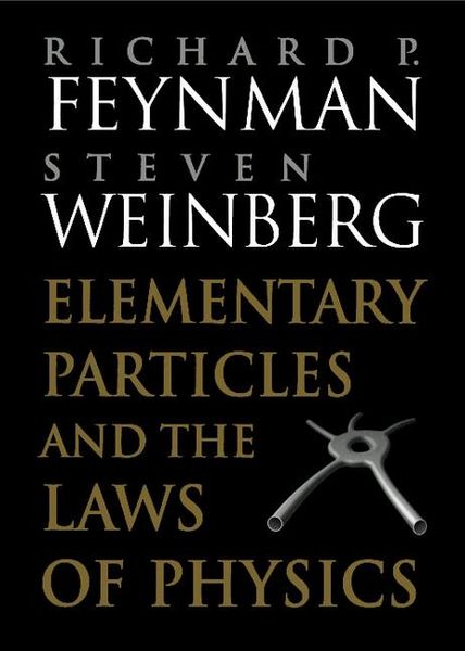 Produktbild: Elementary Particles and the Laws of Physics