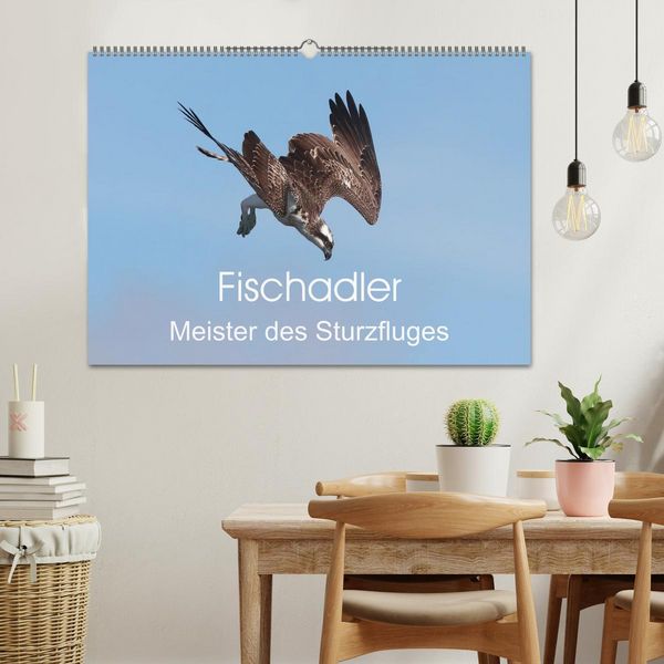 Produktbild: Fischadler - Meister des Sturzfluges (Wandkalender 2026 DIN A2 quer), CALVENDO Monatskalender