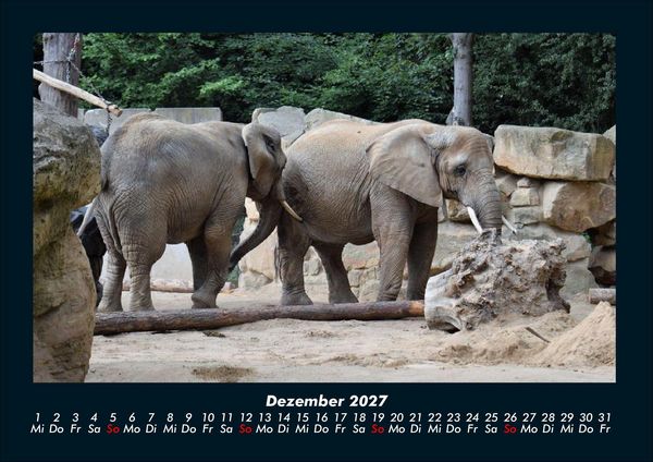 Produktbild: Der Elefantenkalender 2027 Fotokalender DIN A4