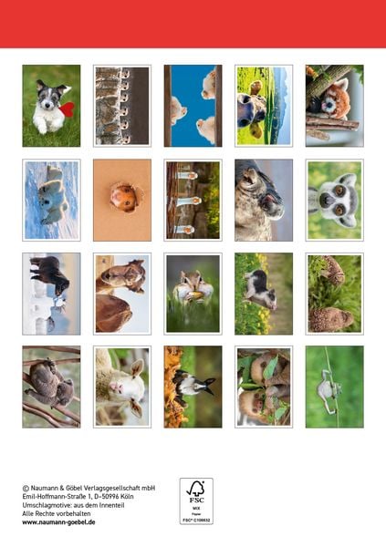 Produktbild: Postkartenblock Lustige Tiere