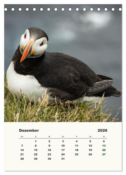 Produktbild: Papageientaucher in Island (Tischkalender 2026 DIN A5 hoch), CALVENDO Monatskalender