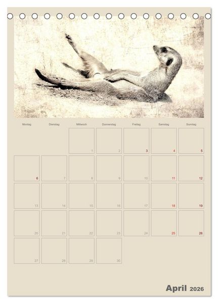 Produktbild: Lustige Erdm&auml;nnchen (Tischkalender 2026 DIN A5 hoch), CALVENDO Monatskalender