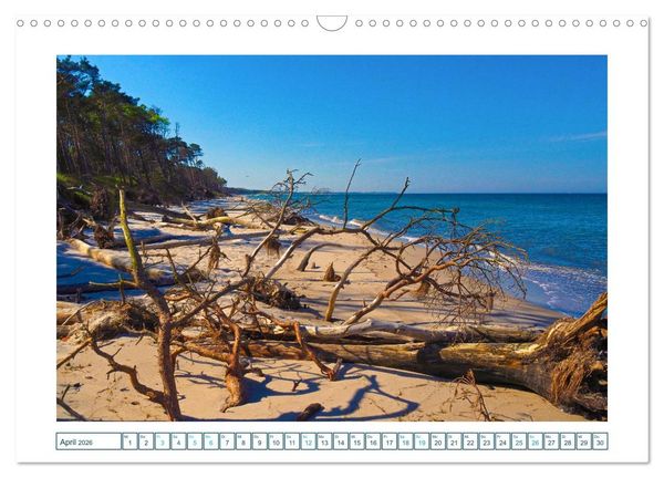 Produktbild: Der Weststrand am Dar&szlig; (Wandkalender 2026 DIN A3 quer), CALVENDO Monatskalender