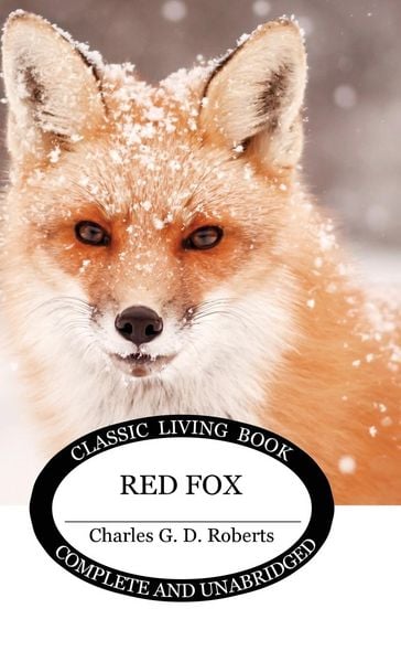 Produktbild: Red Fox