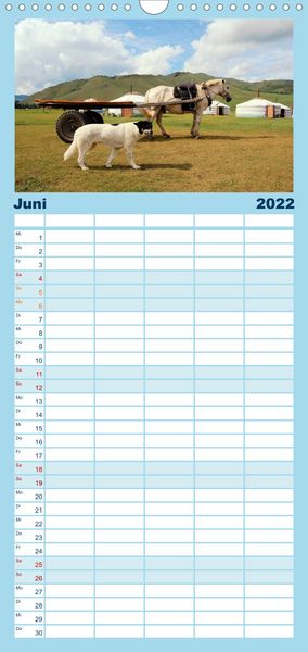 Produktbild: Familienplaner Hunde aus aller Welt (Wandkalender 2022 , 21 cm x 45 cm, hoch)