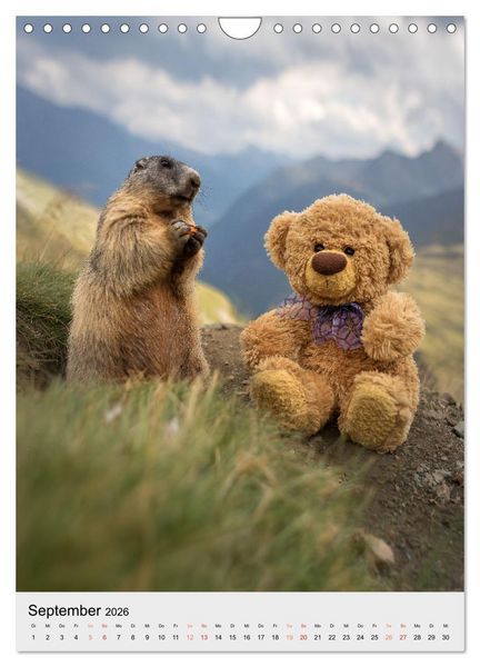 Produktbild: Travelling Teddy liebt es Bunt (Wandkalender 2026 DIN A4 hoch), CALVENDO Monatskalender