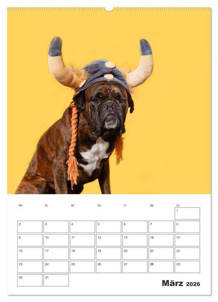 Produktbild: colorful world of boxer 2026 (Wandkalender 2026 DIN A2 hoch), CALVENDO Monatskalender
