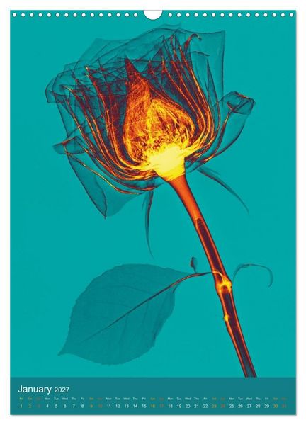Produktbild: Blossoms between light and colour (Wall Calendar 2027 DIN A3 portrait), CALVENDO 12 Month Wall Calendar