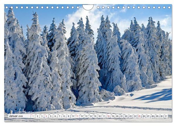 Produktbild: Winter. Zauberhafte Schneelandschaften (Wandkalender 2026 DIN A4 quer), CALVENDO Monatskalender