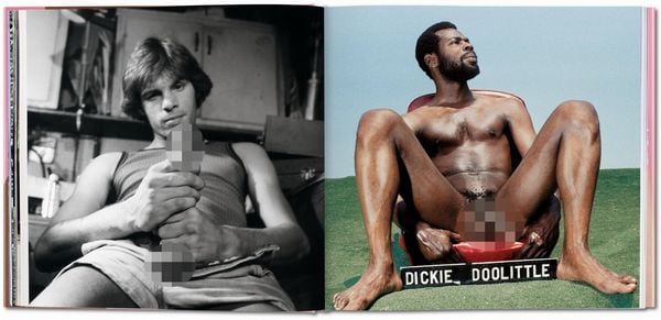 Produktbild: The Big Penis Book