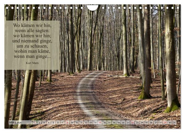 Produktbild: Weises (Wandkalender 2026 DIN A4 quer), CALVENDO Monatskalender