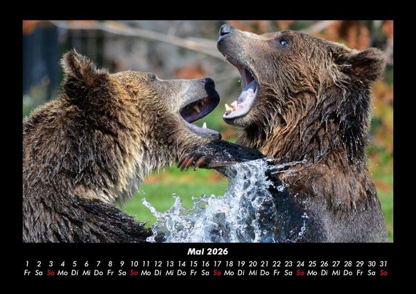 Produktbild: Tierkalender 2026 Fotokalender DIN A3