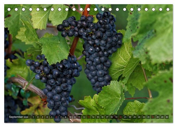 Produktbild: Weinlagen in Franken (Tischkalender 2026 DIN A5 quer), CALVENDO Monatskalender