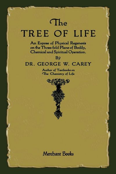 Produktbild: The Tree of Life