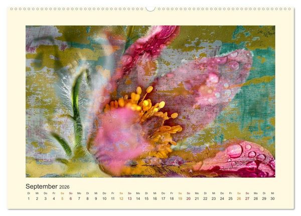 Produktbild: Fotografie trifft Malerei (hochwertiger Premium Wandkalender 2026 DIN A2 quer), Kunstdruck in Hochglanz