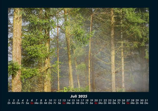 Produktbild: Waldzauber 2025 Fotokalender DIN A4