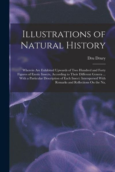 Produktbild: Illustrations of Natural History: Wherein Are Exhibited Upwards of Two Hundred and Forty Figures of Exotic Insects, According to Their Different Gener