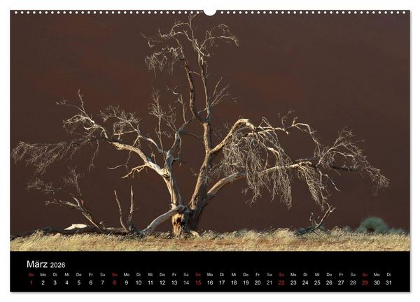 Produktbild: Namibia (Wandkalender 2026 DIN A2 quer), CALVENDO Monatskalender