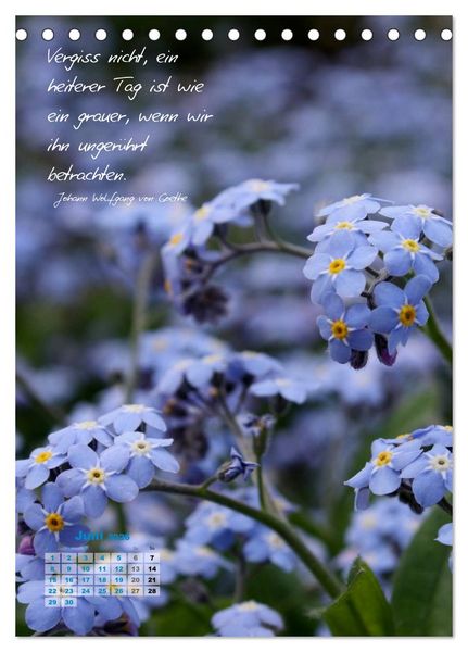 Produktbild: Blumen & Zitate (Tischkalender 2026 DIN A5 hoch), CALVENDO Monatskalender