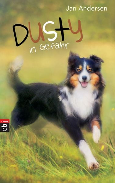 Produktbild: Dusty in Gefahr