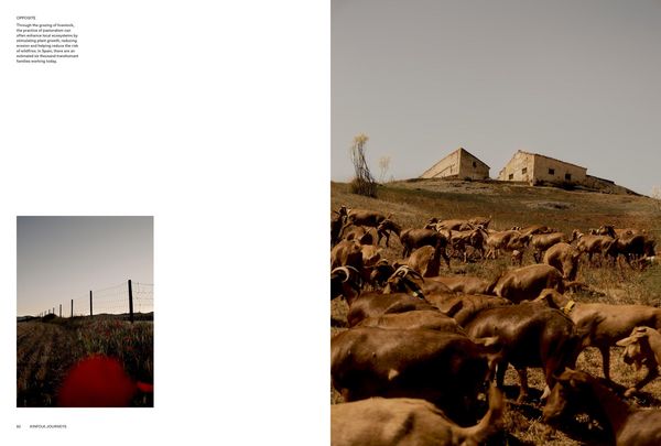 Produktbild: Kinfolk Journeys