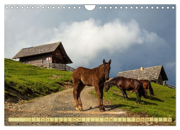 Produktbild: Die Feistritzer Alm - Wandern in den K&auml;rntner Bergen (Wandkalender 2026 DIN A4 quer), CALVENDO Monatskalender