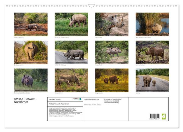 Produktbild: Afrikas Tierwelt: Nash&ouml;rner (Wandkalender 2026 DIN A2 quer), CALVENDO Monatskalender