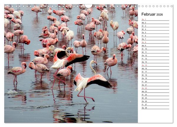 Produktbild: Mein Flamingo Planer (Wandkalender 2026 DIN A3 quer), CALVENDO Monatskalender
