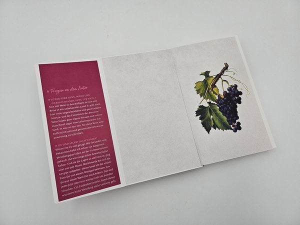 Produktbild: Gebrauchsanweisung f&uuml;r Wein