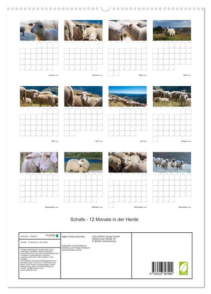 Produktbild: Schafe - 12 Monate in der Herde (hochwertiger Premium Wandkalender 2026 DIN A2 hoch), Kunstdruck in Hochglanz