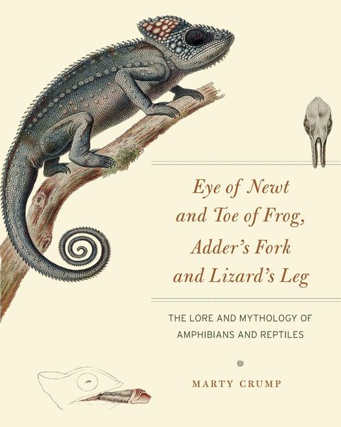 Produktbild: Eye of Newt and Toe of Frog, Adder's Fork and Lizard's Leg